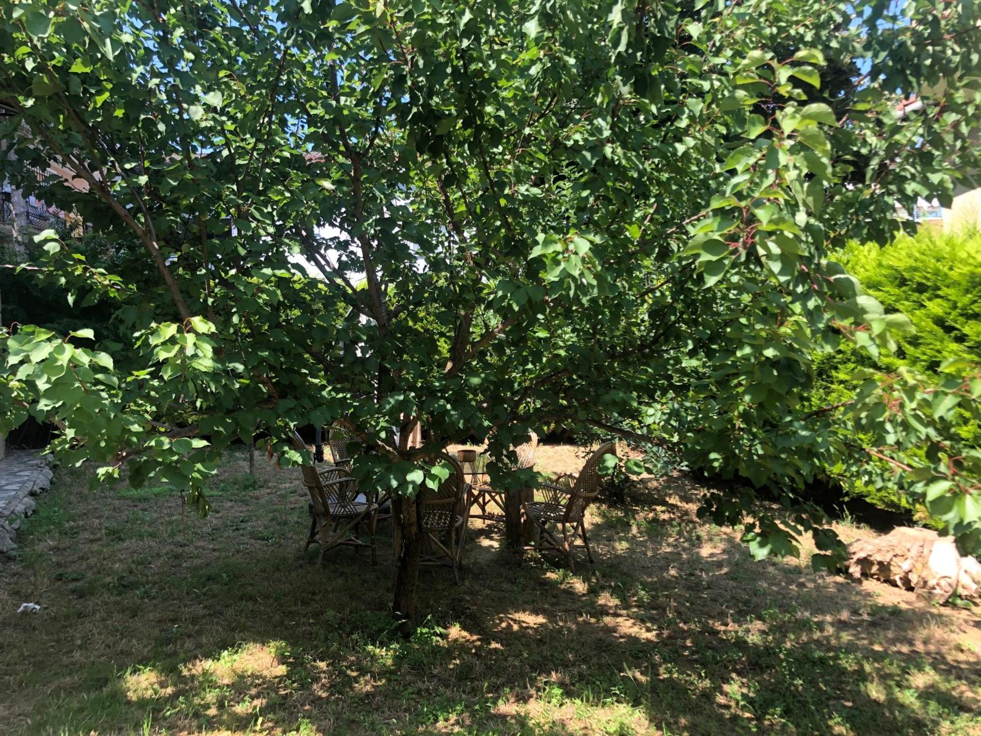 Appartamento Garden House Provincia di Provincia di Istanbul Esterno foto